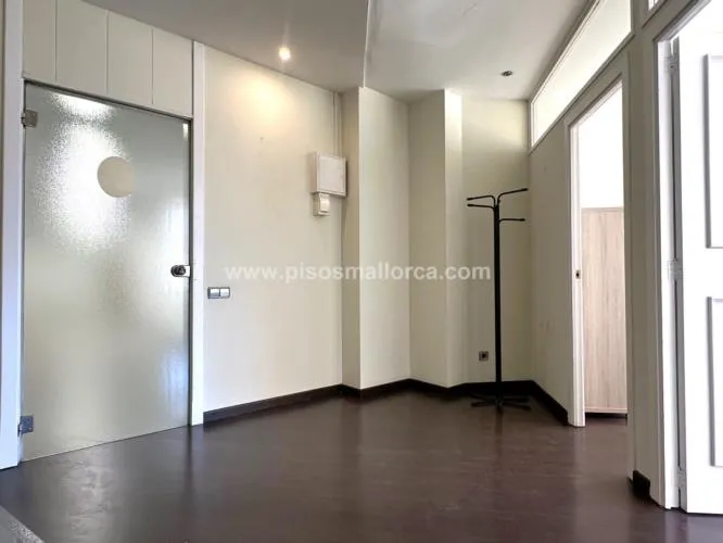 Office / Workspace. Palma de Mallorca, Paseo Marítimo area — photo 10