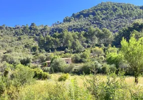 Charming Country House in Puigpunyent — photo 4
