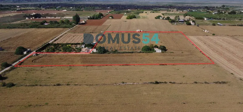 plot in Muro — photo 4