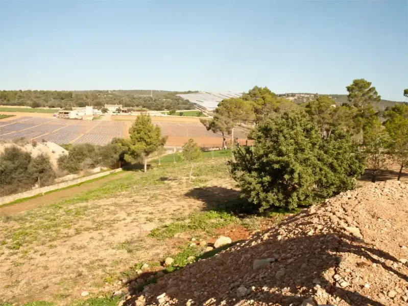 Finca de 17300m2 de terreno con diversas edificaciones, casa principal de unos 180m2 mas terrazas y 800m2 en varias naves. — photo 6