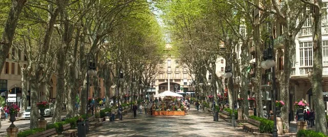 Contemporary Urban Living in Palma, Mallorca — photo 2