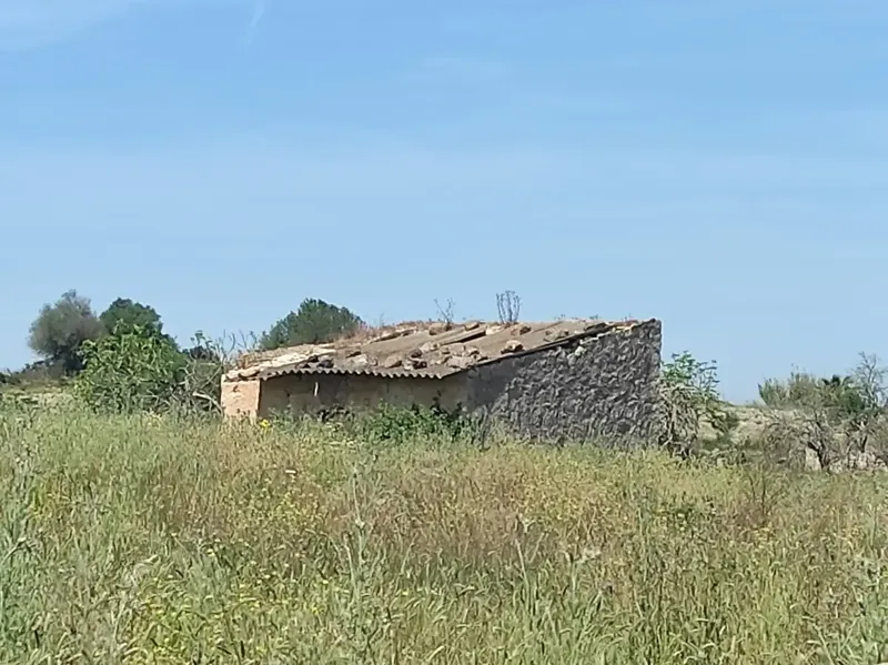Fantastic Estate of 17,700m2 for Sale with Project for a 290m2 Single-Family Home in the Municipality of Sineu — photo 9