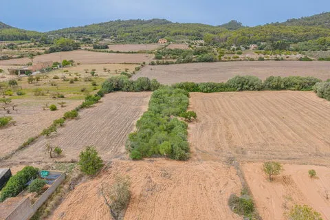 Land in Porreres, Mallorca — photo 3