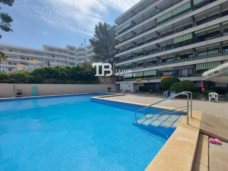 Cozy studio with private terrace in Santa Ponsa — photo 3