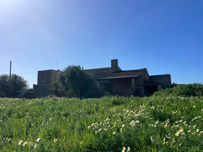 Country estate to renovate with charm and potential, Campos — photo 9