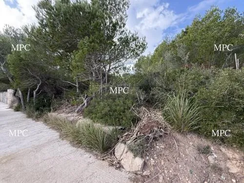 Luxury Villa Project Near Cala Mesquida Beach – Mallorca — photo 2