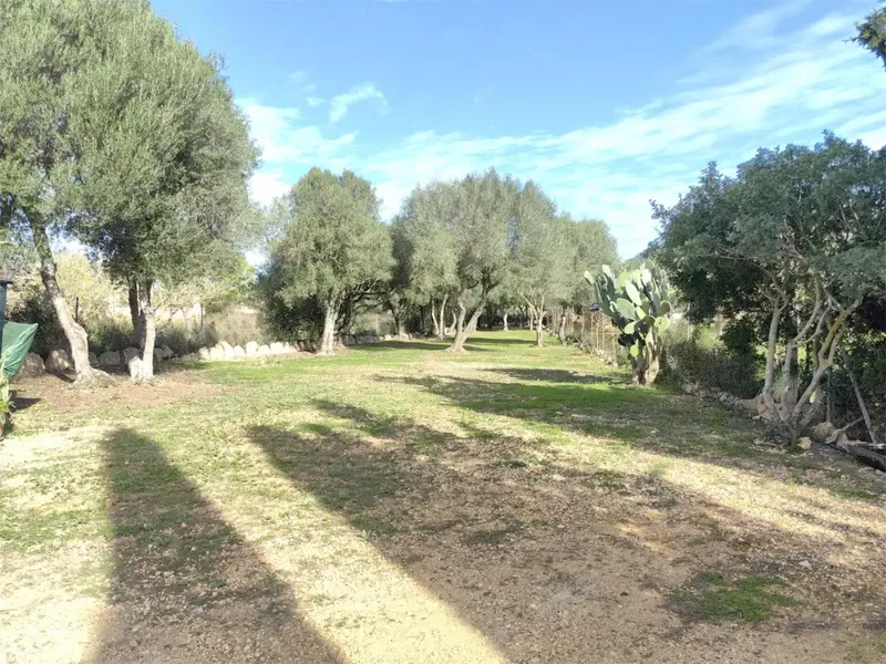 Description — photo 11
