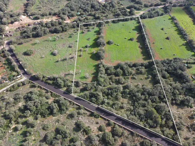 Buildable plot in Ses Salines, Mallorca — photo 5