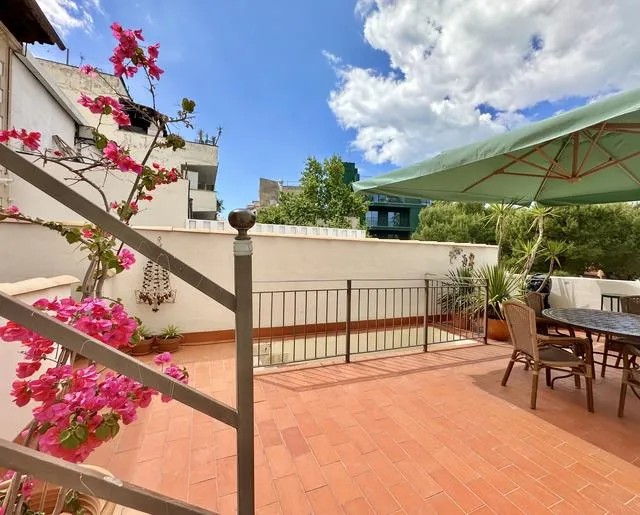 Palma - El Terreno — photo 1