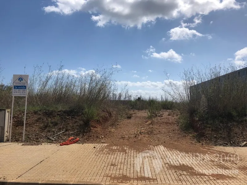 Land — photo 2