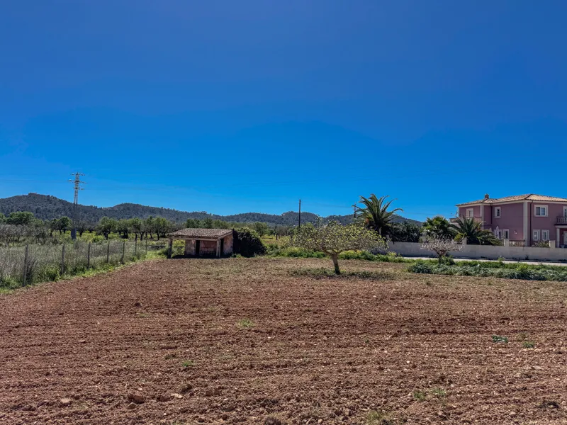 Magnificent property in Porreres — photo 7