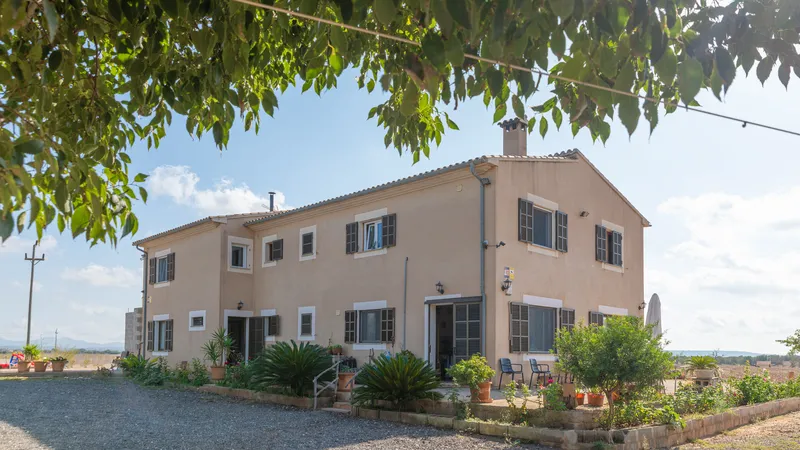 Partly renovated country house in Ses Salines, with absolute privacy, distant views & close to the beach — photo 2