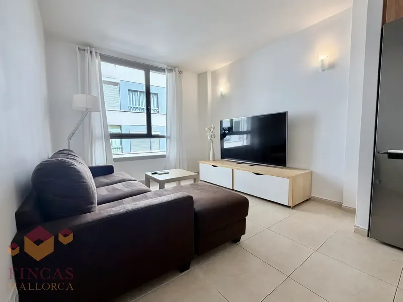 1-bedroom apartment with terrace for rent in Palma (S’Escorxador – Plaza Abu Yahya) – NOT AVAILABLE — photo 10