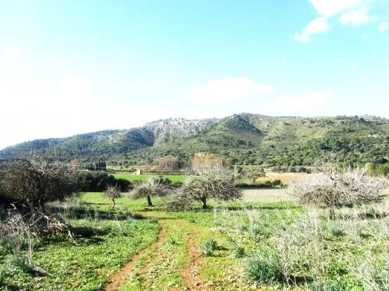 Nice finca near Alcudia with views, 135,000 m², very big, with possibility to build a villa — photo 5