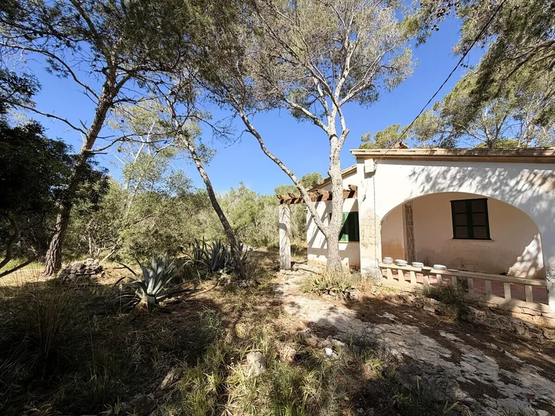 Property No. 1583 - Details — photo 3