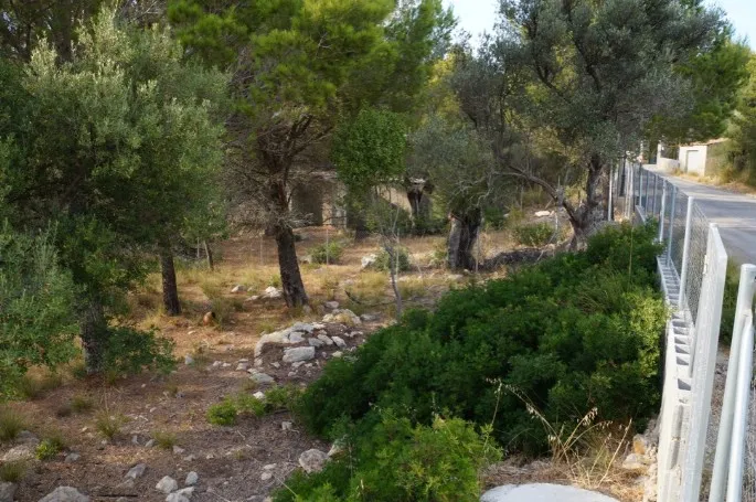 Plot for sale in Valldemossa — photo 11