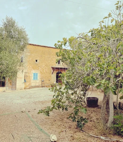 Large Country House near Es Trenc — photo 7