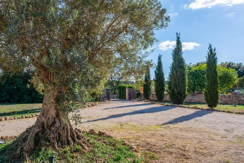 Rural or Farmhouse in Algaida, Province of Balearic Islands — photo 9