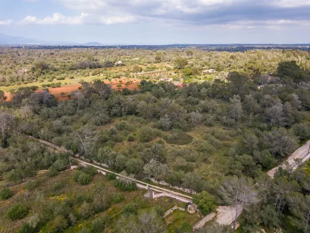Spacious plot of land for sale in tranquil Algaida, central Mallorca — photo 6