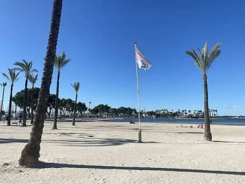 Piso moderno reformado con dos grandes terrazas en Puerto de AlcúdiaPrecio de venta: 429.000 — photo 6