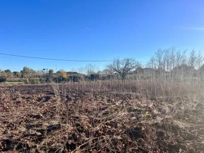 Rustic property - Campanet (Nucleo urbano 55), Built Surface 80m², Plot Surface 4476m² — photo 11
