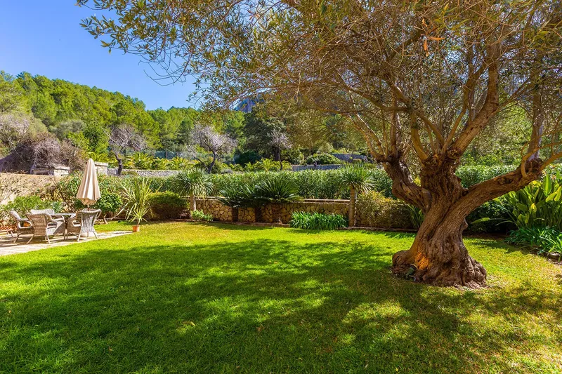 Investment property: Mediterranean estate with versatile uses — photo 4