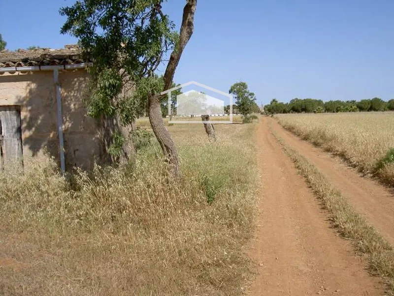 Rustic plot with urban planning certificate next to Es Trenc with hut to renovate — photo 3
