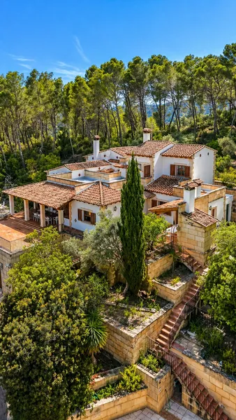Finca with port views and holiday license in Andratx — photo 2