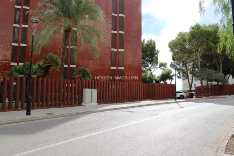 Premises Illetas Ses Illetes Mallorca for Rent — photo 3