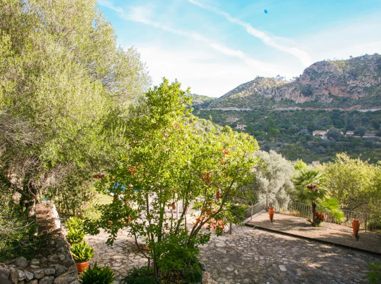 Ref.2319C – Andratx – Finca in the valley of Sa Coma Fria — photo 11