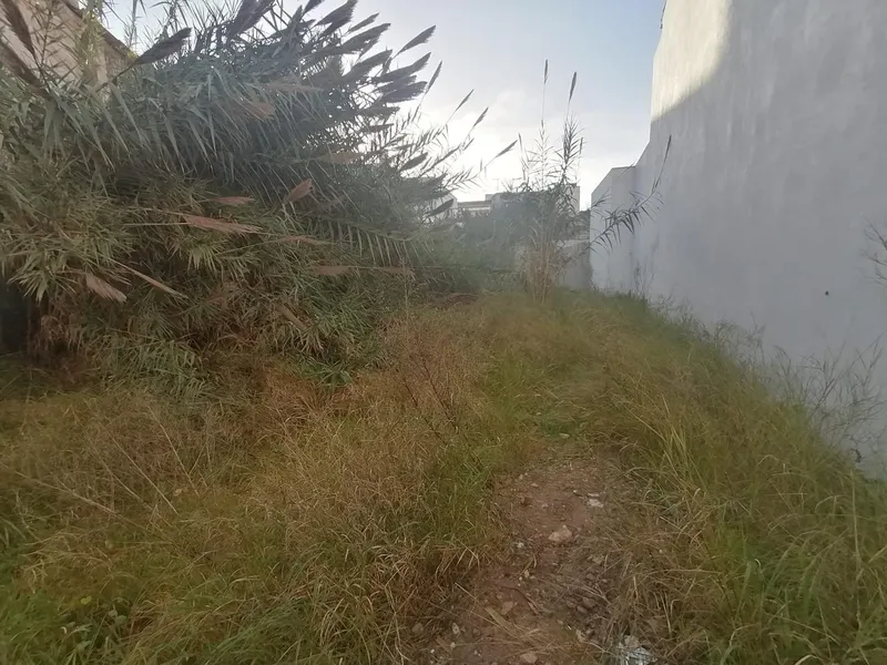 Buildable plot in the center of Felanitx — photo 3