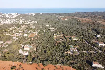 Building land with sea views in Portocolom — photo 1