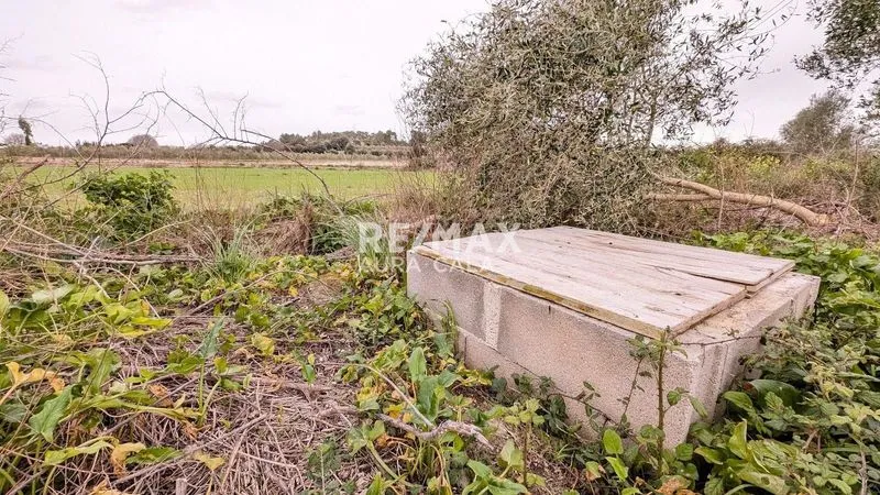 Plot for sale in Muro — photo 1