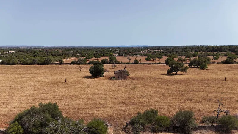 Rustic Estate with Project — photo 10