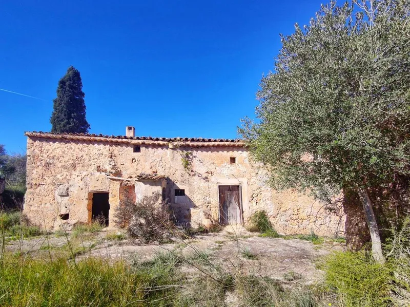 Rural or Farmhouse in Santa Eugènia, Province of Balearic Islands — photo 2