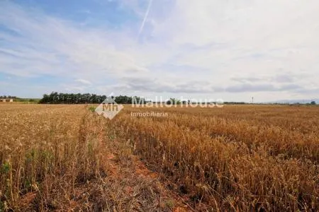 Urbanizable land - Muro (Son Serra), Plot Surface 15,324 m² — photo 10