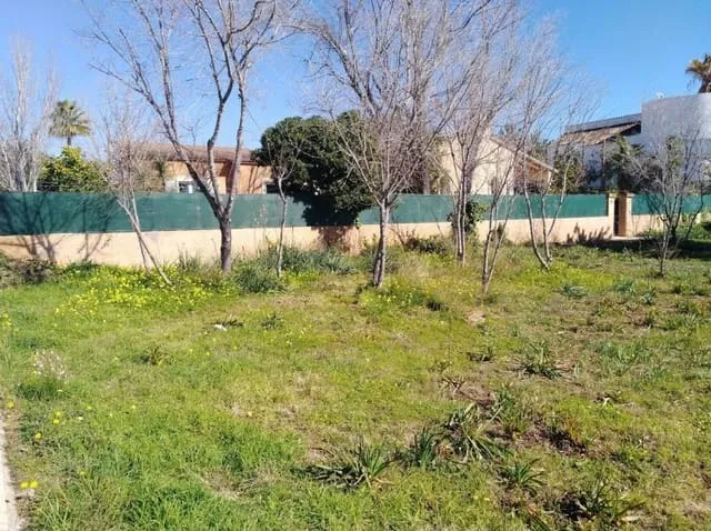 Villa for rent in Palmanyola, Bunyola, Mallorca — photo 5