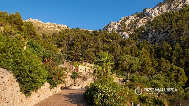 Villa for rent in Estellenchs, Mallorca — photo 2