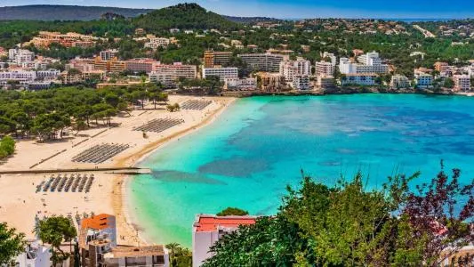 Business Premise - Calvià (Costa de la Calma), Built Surface 70m², Distance to the Sea 1.5 Km — photo 4