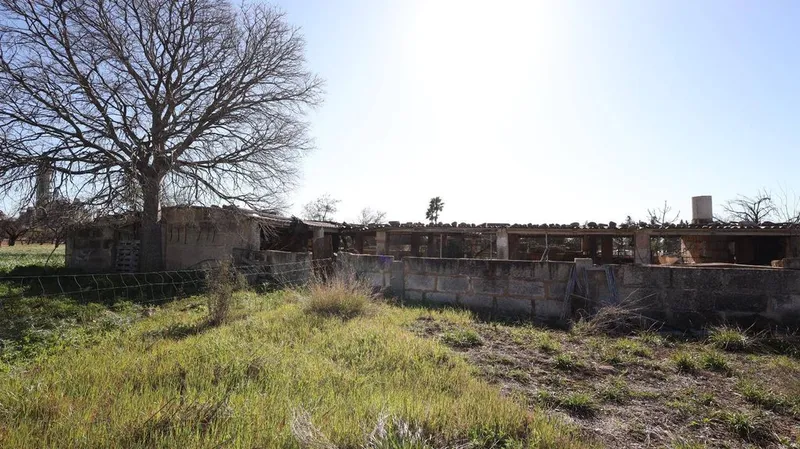 Land in Binissalem, Province of Balearic Islands — photo 8