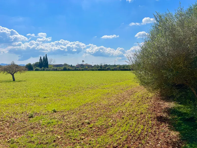 Rustic plot of 14,884 m² between Porreres and Felanitx with spectacular views of Sant Salvador — photo 6