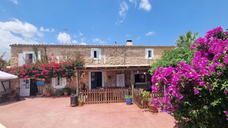 Finca with 23 places / license with pool and many extras at Cala de Mallorca ---- F 50 CM — photo 1