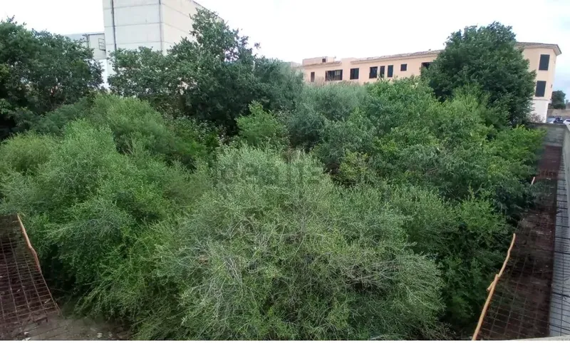 Urban Residential Plot in Alcúdia – Opportunity ... — photo 3