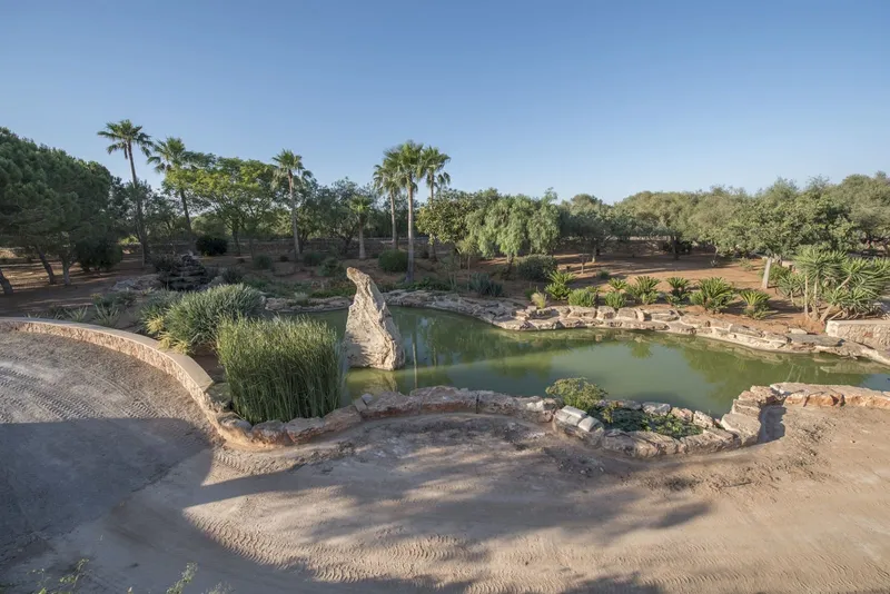 Finca/Country House for rent in Campos, Mallorca — photo 6
