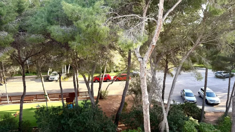 Sol de Mallorca Duplex - Garage - Pool 3 Bedrooms — photo 10