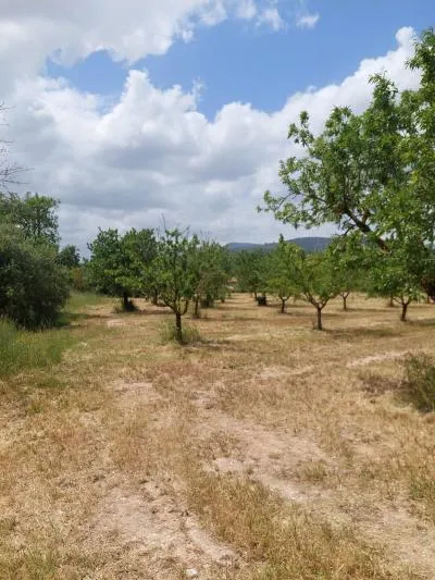 Rustic Land - Inca (Peri-urban Zone) — photo 1