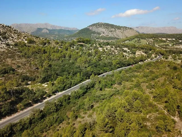 Large country plot for sale near the town of Pollensa, Mallorca — photo 10