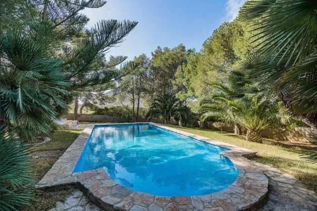 Charming hilltop villa for sale with pool in Cala San Vicente, Mallorca — photo 12