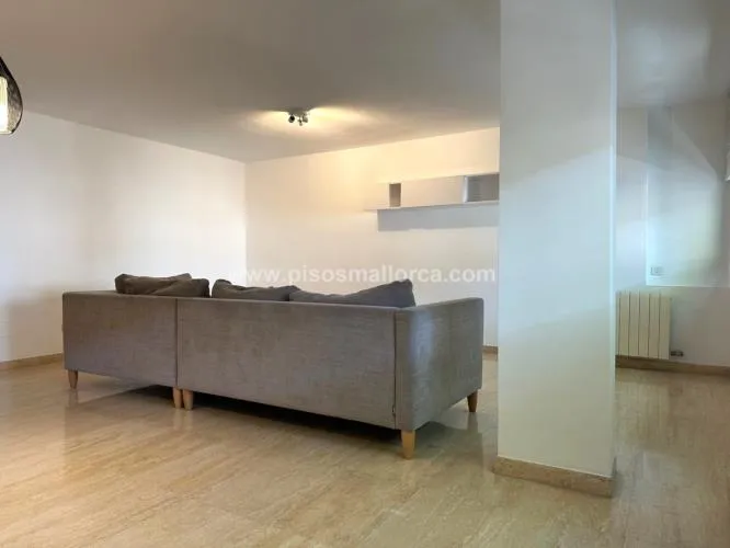 Apartment in Palma de Mallorca, Paseo Mallorca area — photo 6