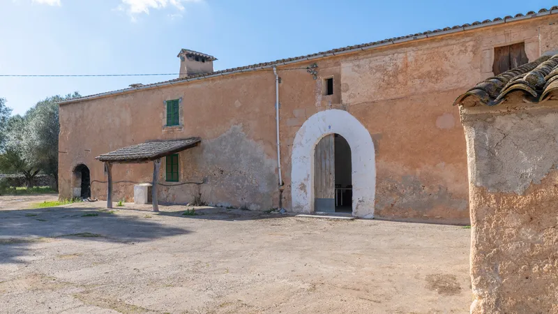 Fantastic finca in Vilafranca de Bonany with project and building license, large plot for investors — photo 2
